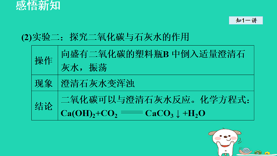 17884905第8页