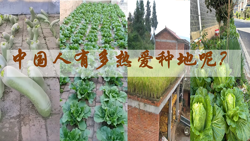 17885089第1页