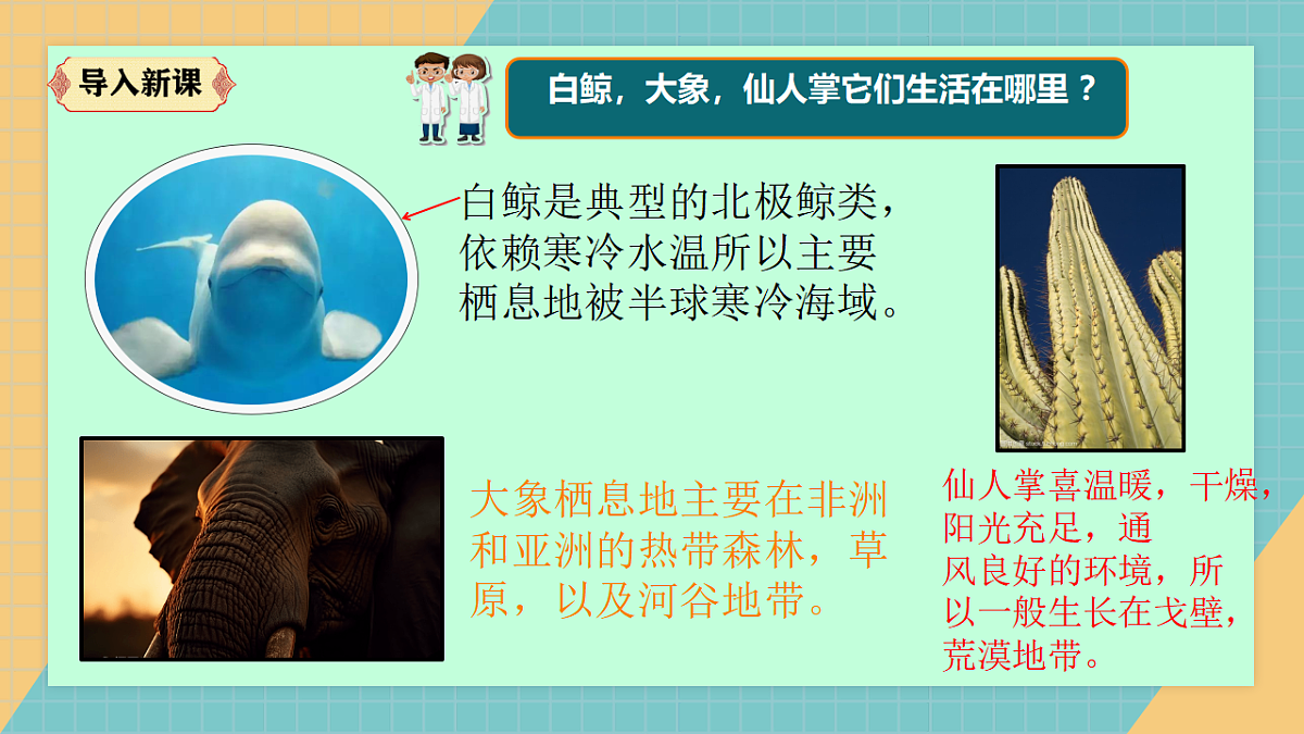 生物的栖息地（2026新课件）第2页