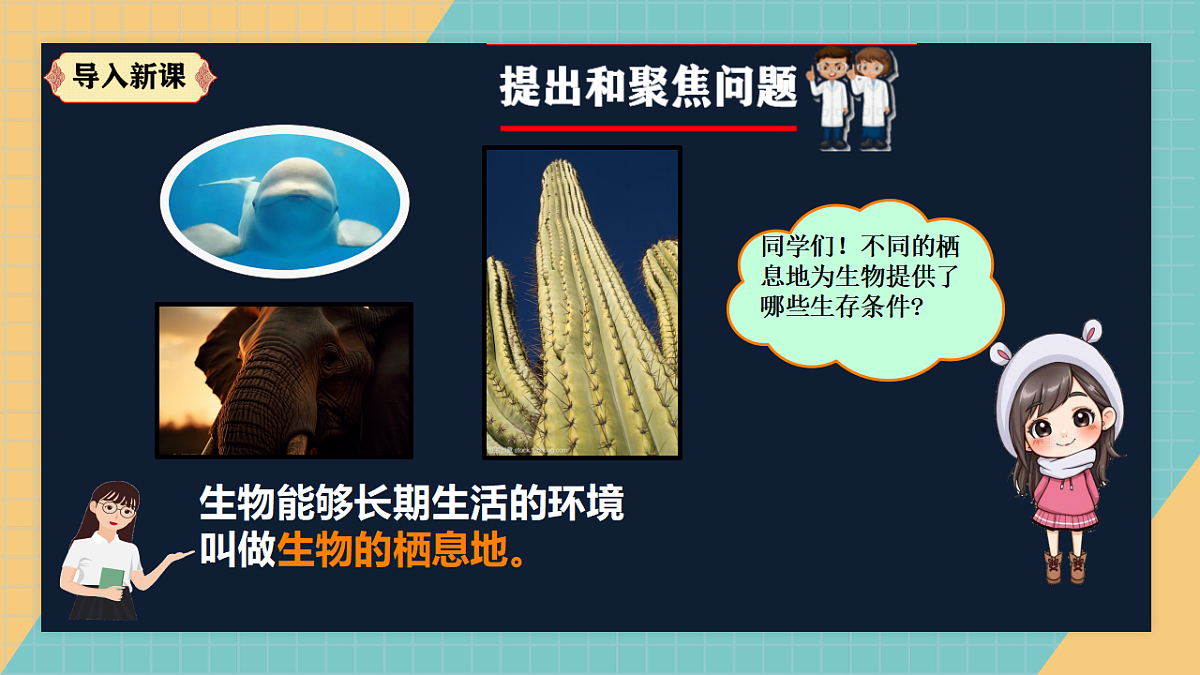 生物的栖息地（2026新课件）第3页
