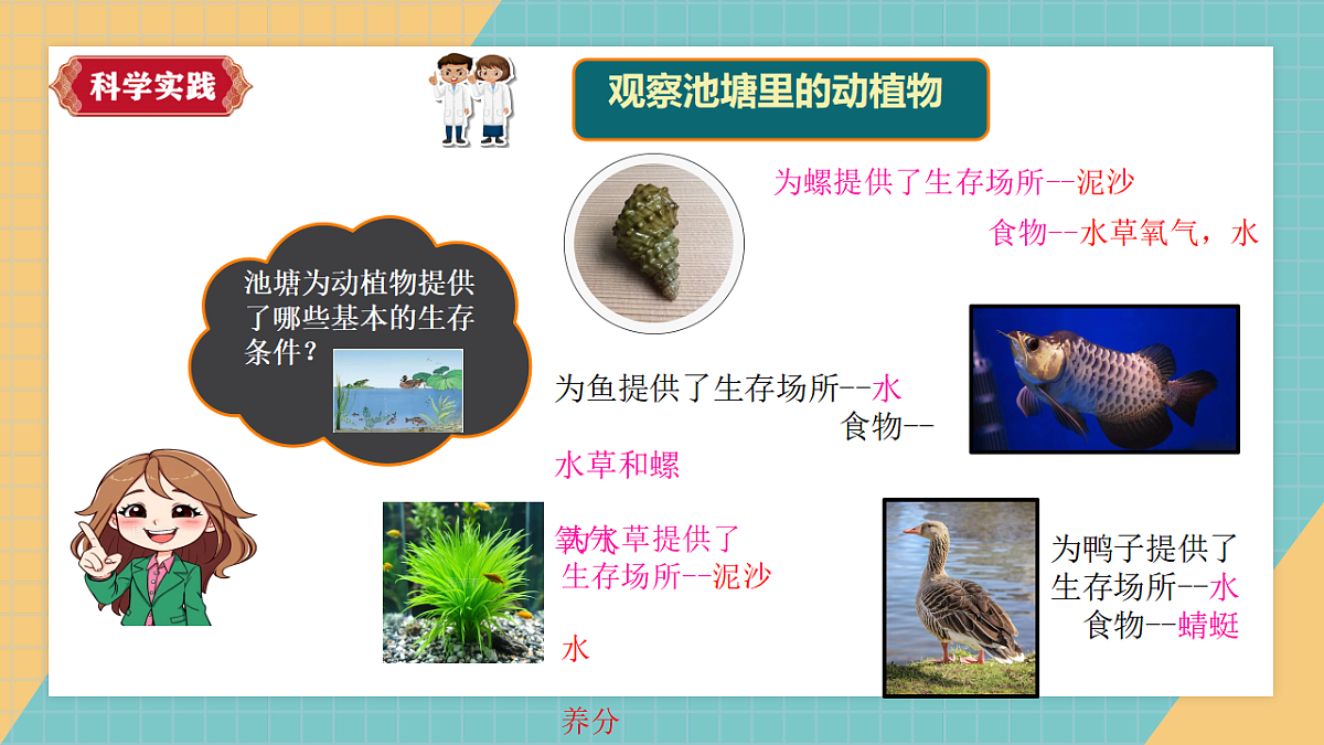 生物的栖息地（2026新课件）第5页