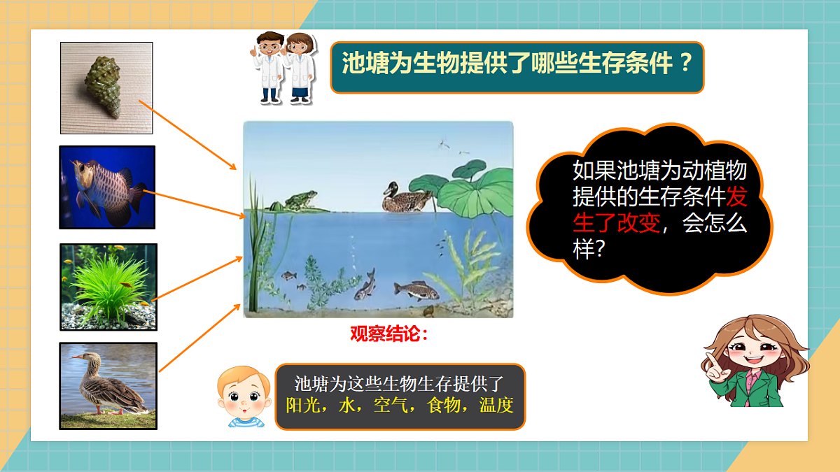 生物的栖息地（2026新课件）第6页