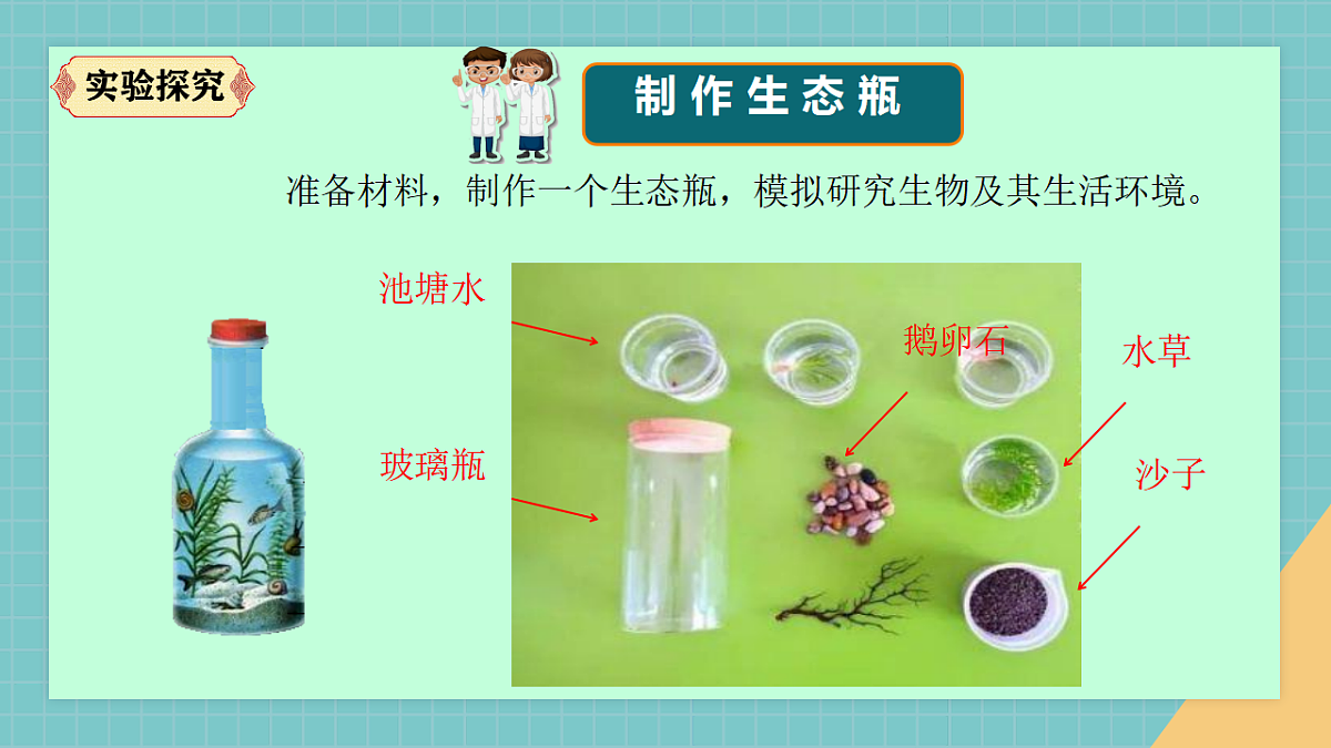 生物的栖息地（2026新课件）第7页