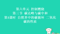 鲁教版（2024）九年级上册（2024）碳达峰与碳中和习题课件ppt