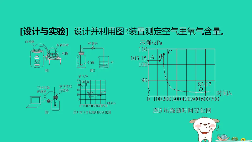 17886421第5页