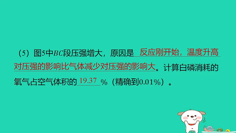 17886421第8页
