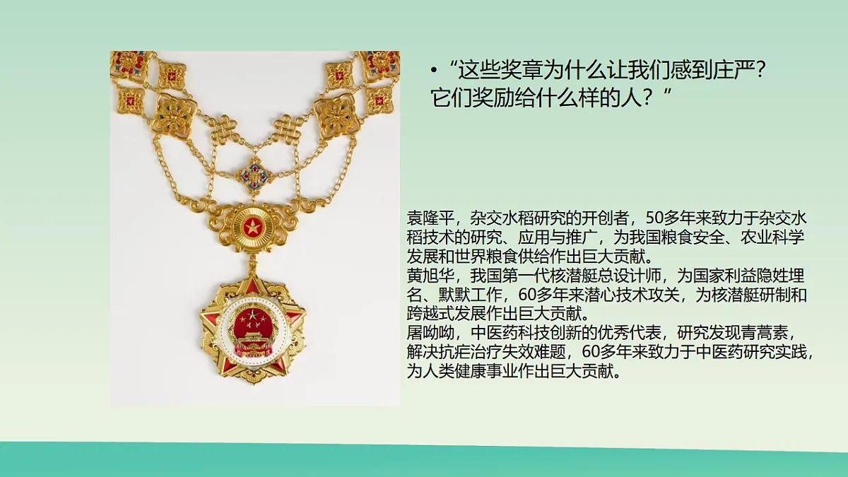 光荣的奖章：为荣誉而设计第5页