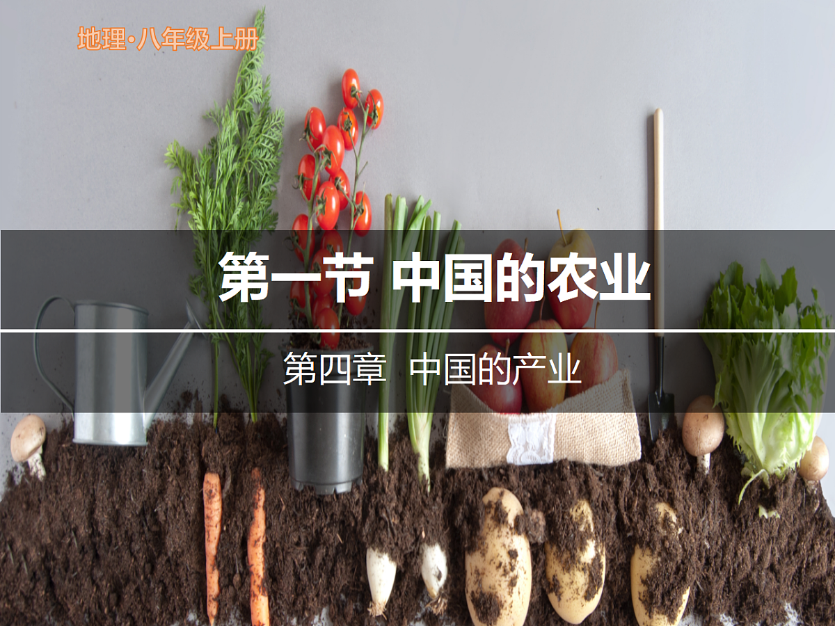 17887014第1页