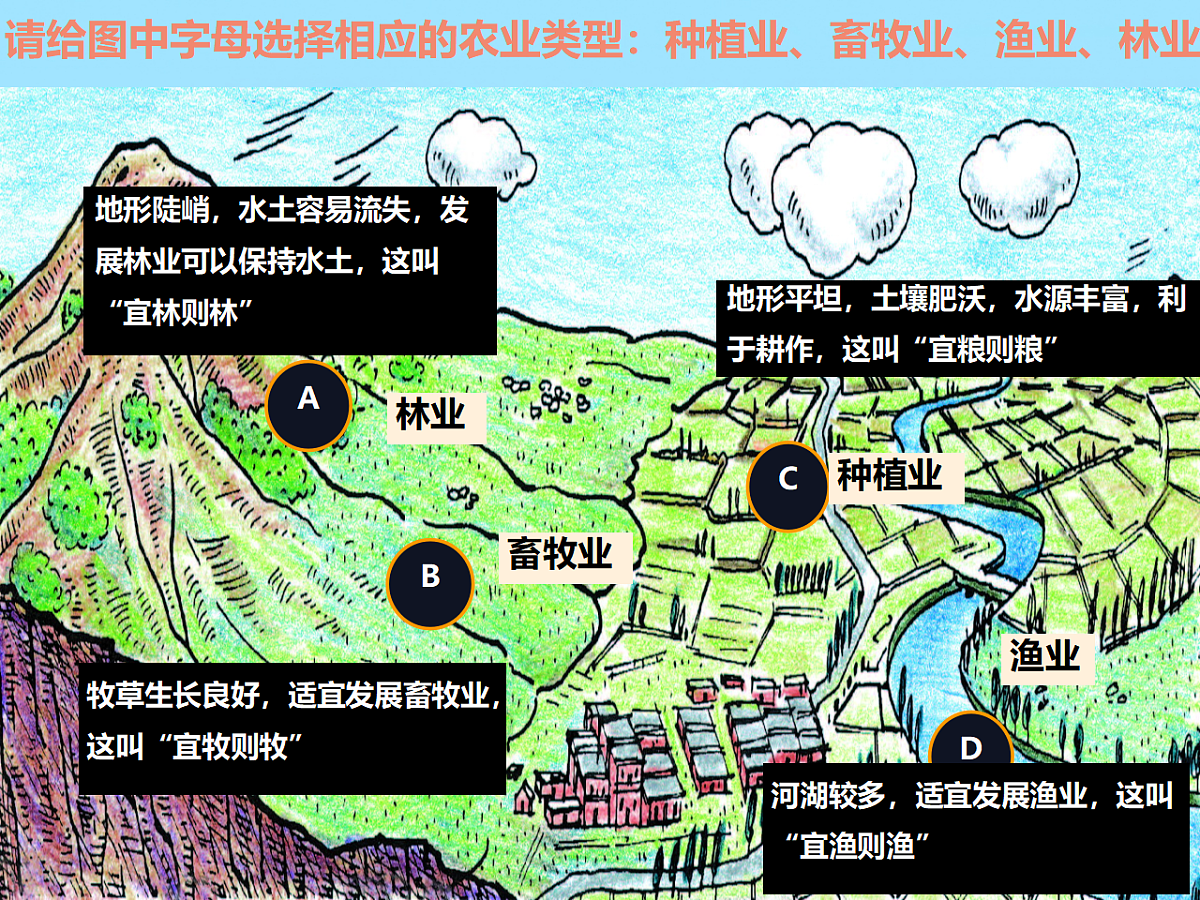 17887014第8页