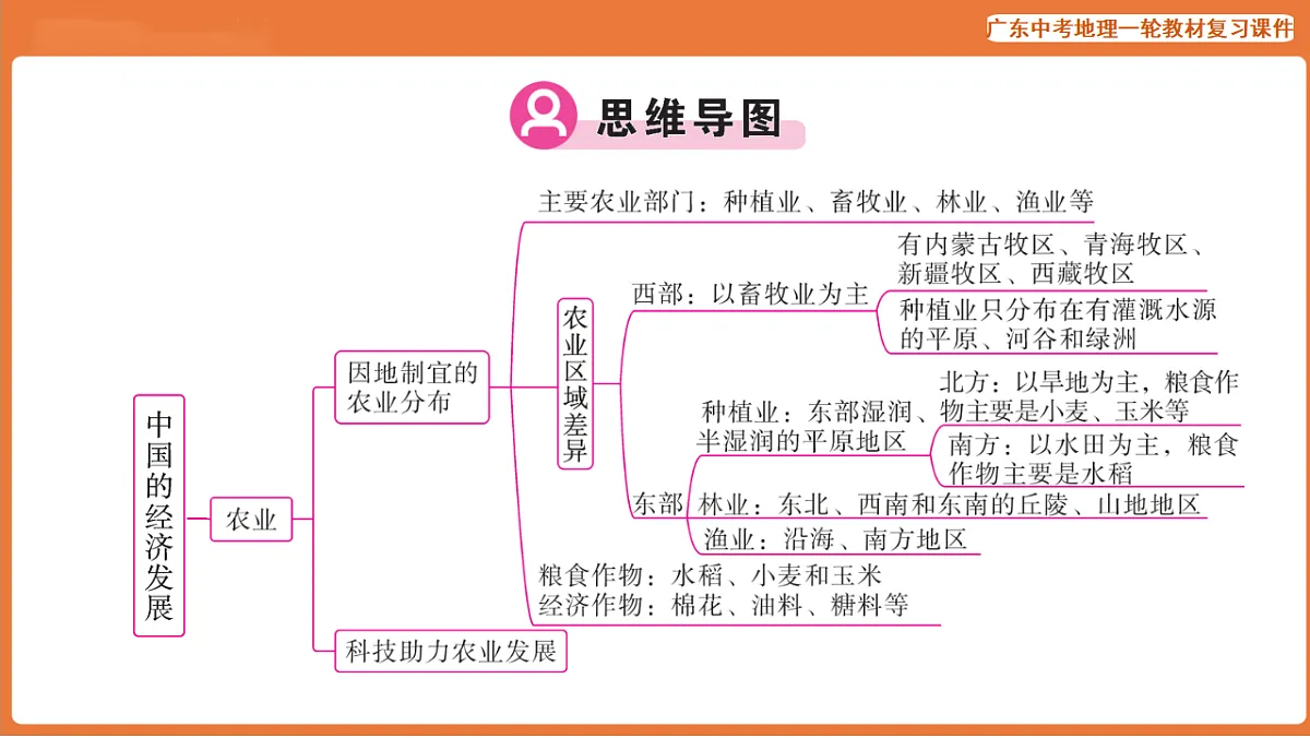 17887117第3页