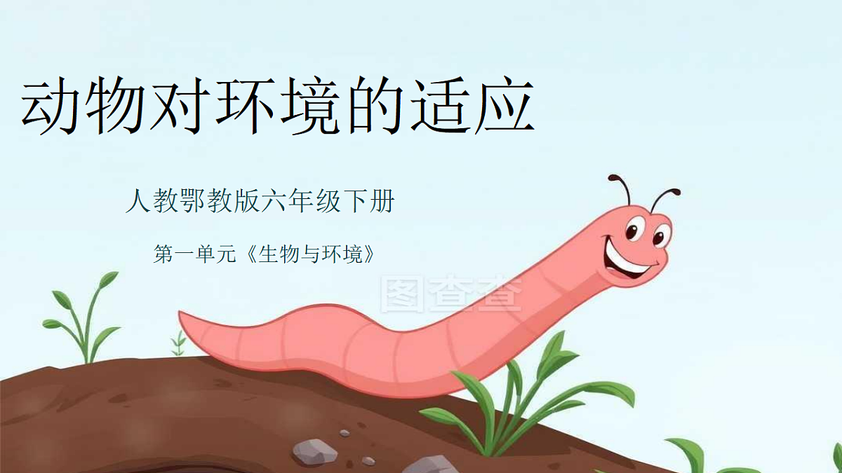 动物对环境的适应第1页