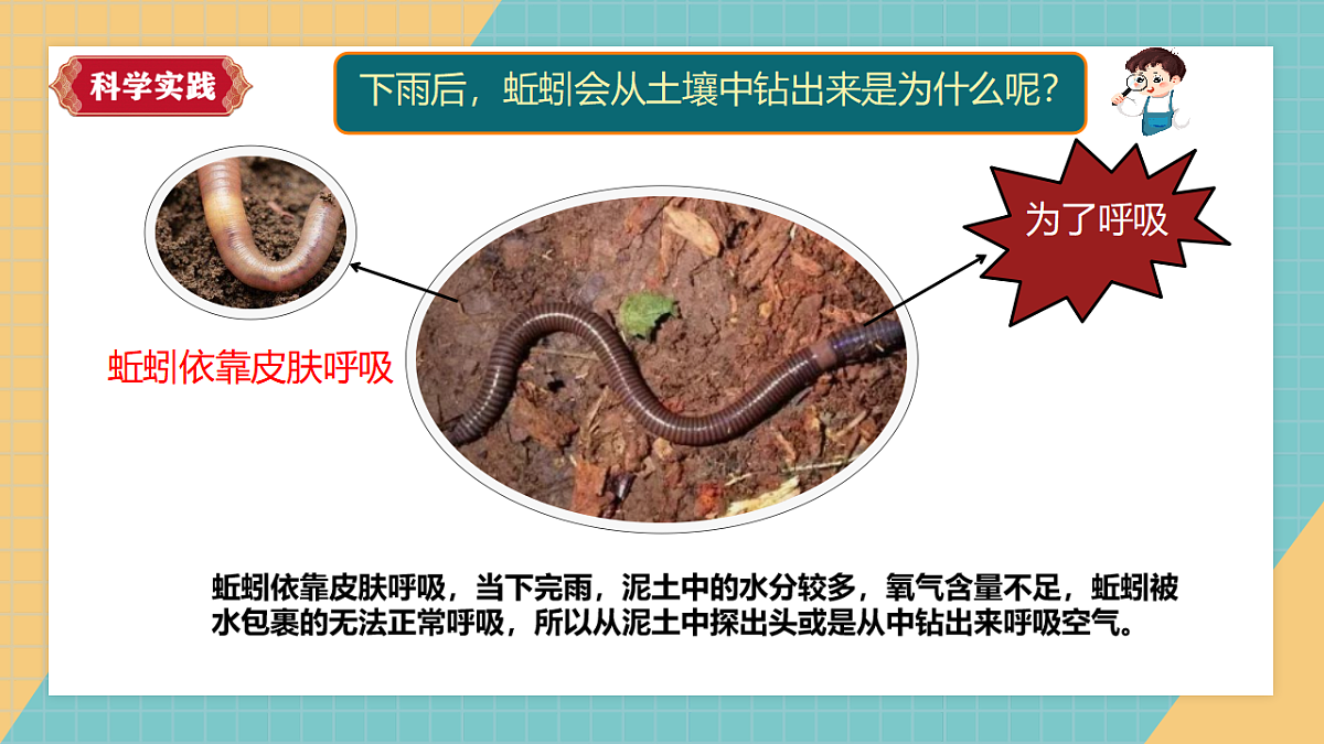 动物对环境的适应第3页
