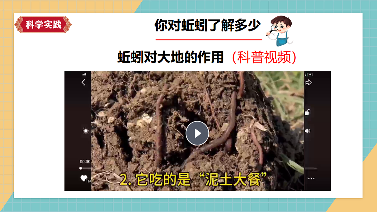 动物对环境的适应第4页