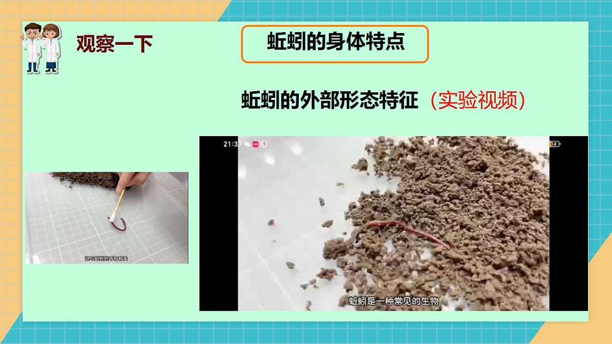 动物对环境的适应第6页
