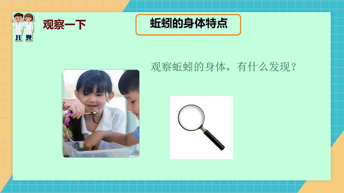 动物对环境的适应第7页