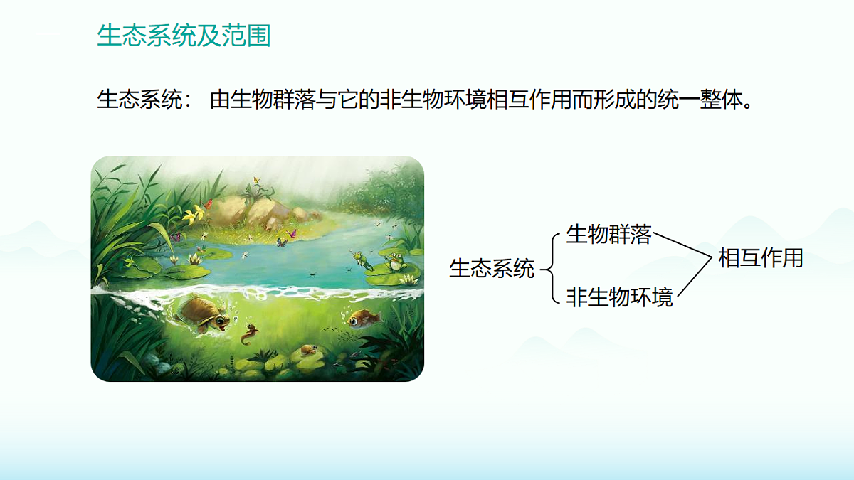 17891046第3页
