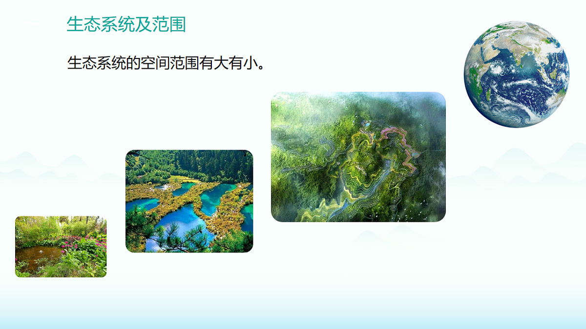 17891046第4页