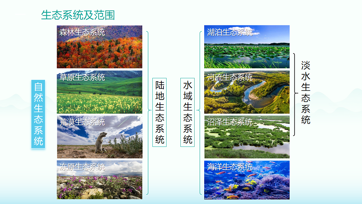 17891046第5页