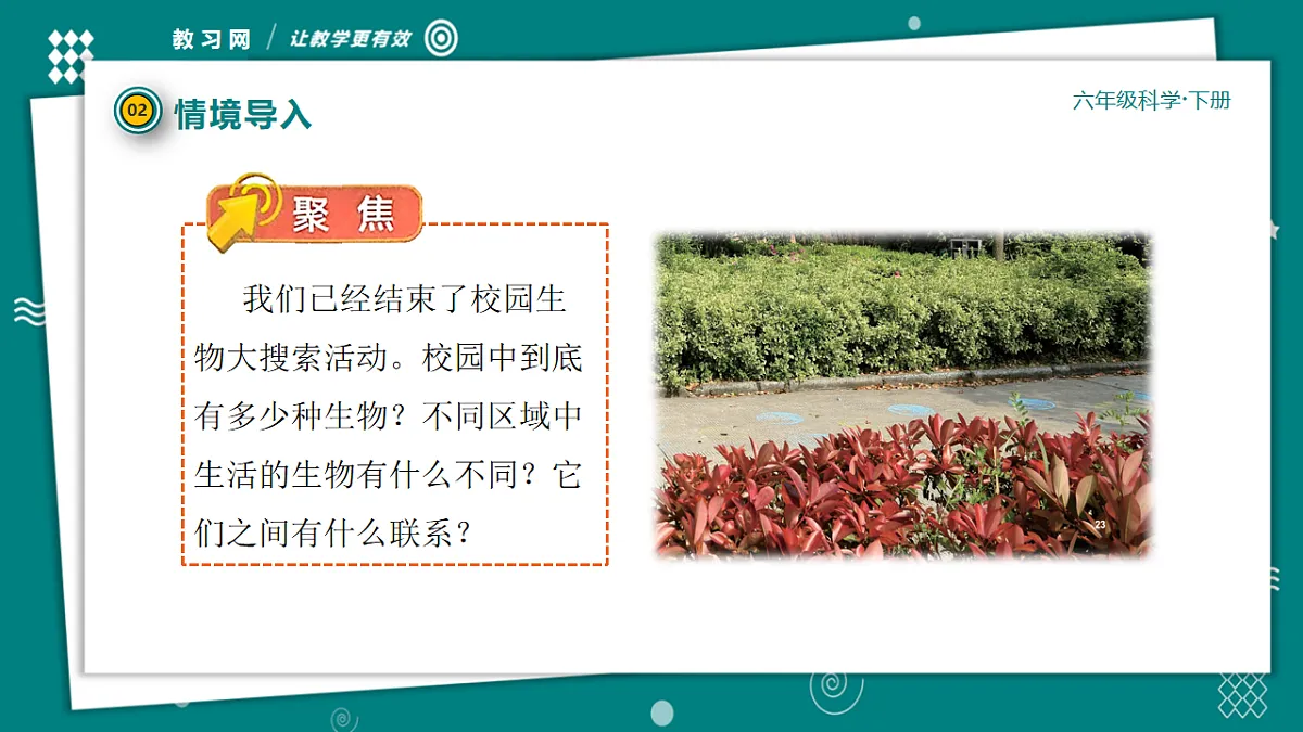 六年级下册科学2.2制作校园生物分布图 教学ppt课件（共26张PPT）教科版（2017）第7页