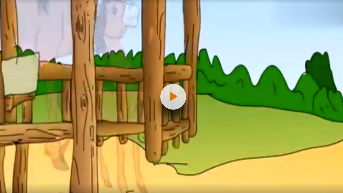 小马过河（第1课时）第3页