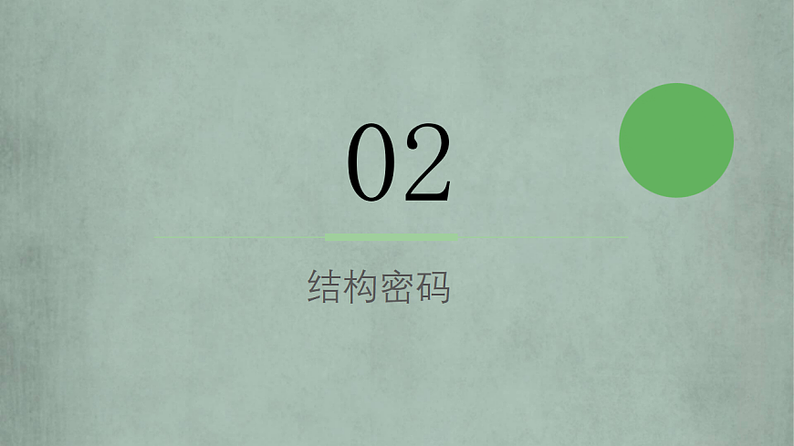 把春天编进挂毯第8页