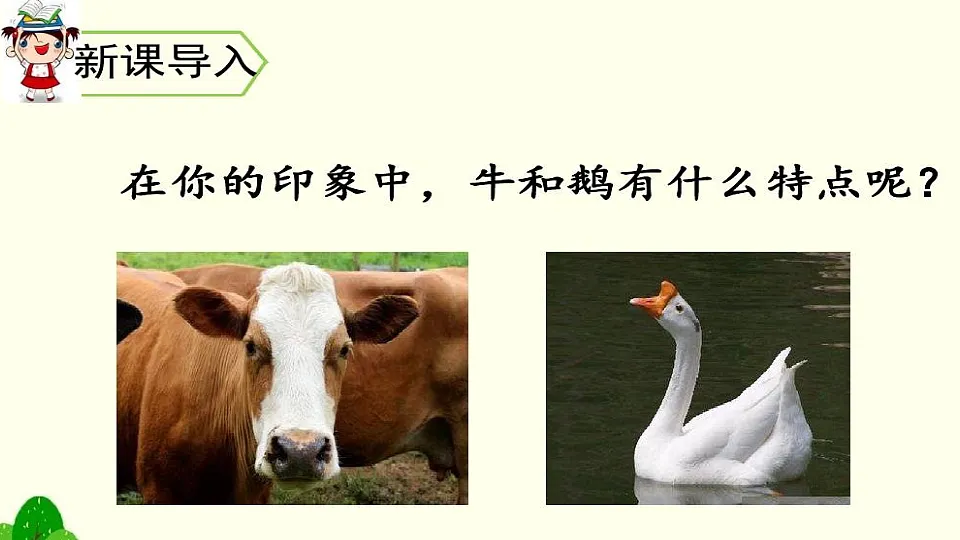 17893516第2页