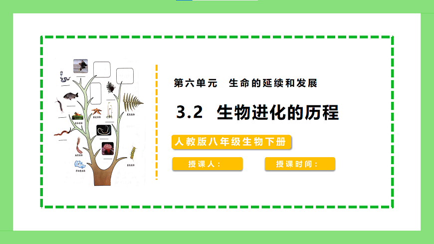 人教版初中生物八年级下册6.3.2《生物进化的历程》1课件第1页