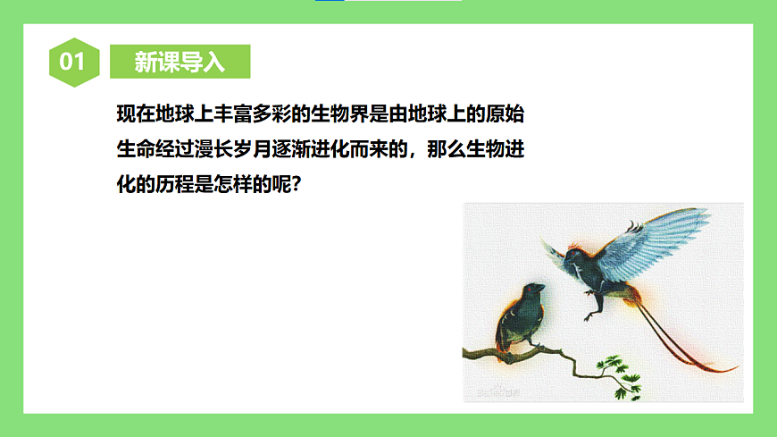 人教版初中生物八年级下册6.3.2《生物进化的历程》1课件第2页