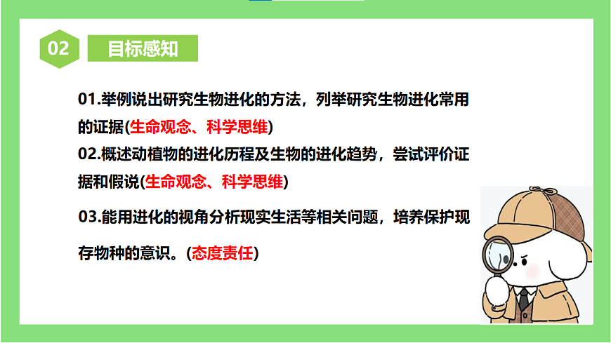 人教版初中生物八年级下册6.3.2《生物进化的历程》1课件第3页