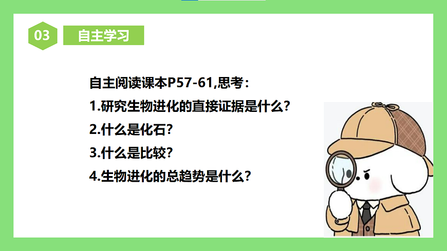 人教版初中生物八年级下册6.3.2《生物进化的历程》1课件第4页