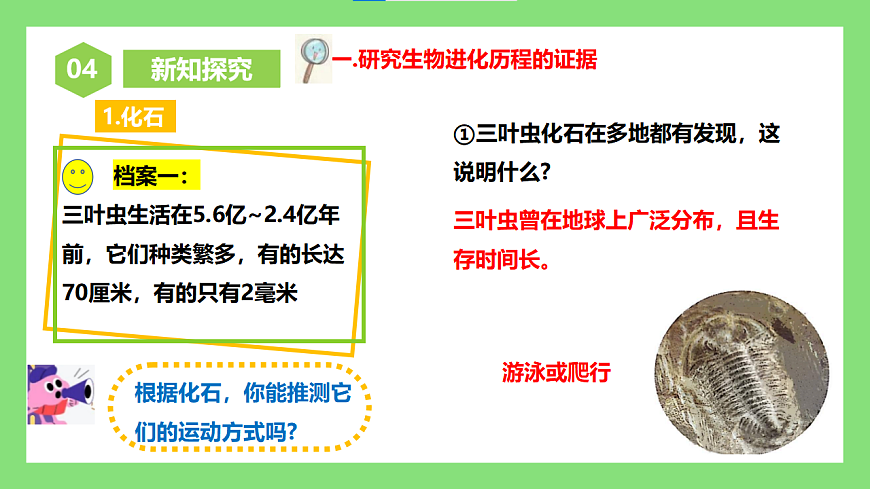 人教版初中生物八年级下册6.3.2《生物进化的历程》1课件第8页