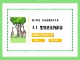 【核心素养目标】人教版初中生物八年级下册6.3.3《生物进化的原因》课件+教案+习题