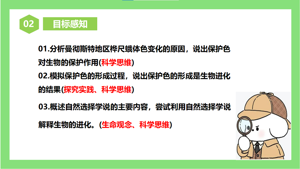人教版初中生物八年级下册6.3.3《生物进化的原因》课件第3页