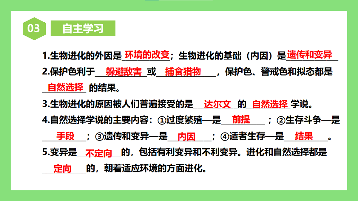 人教版初中生物八年级下册6.3.3《生物进化的原因》课件第4页