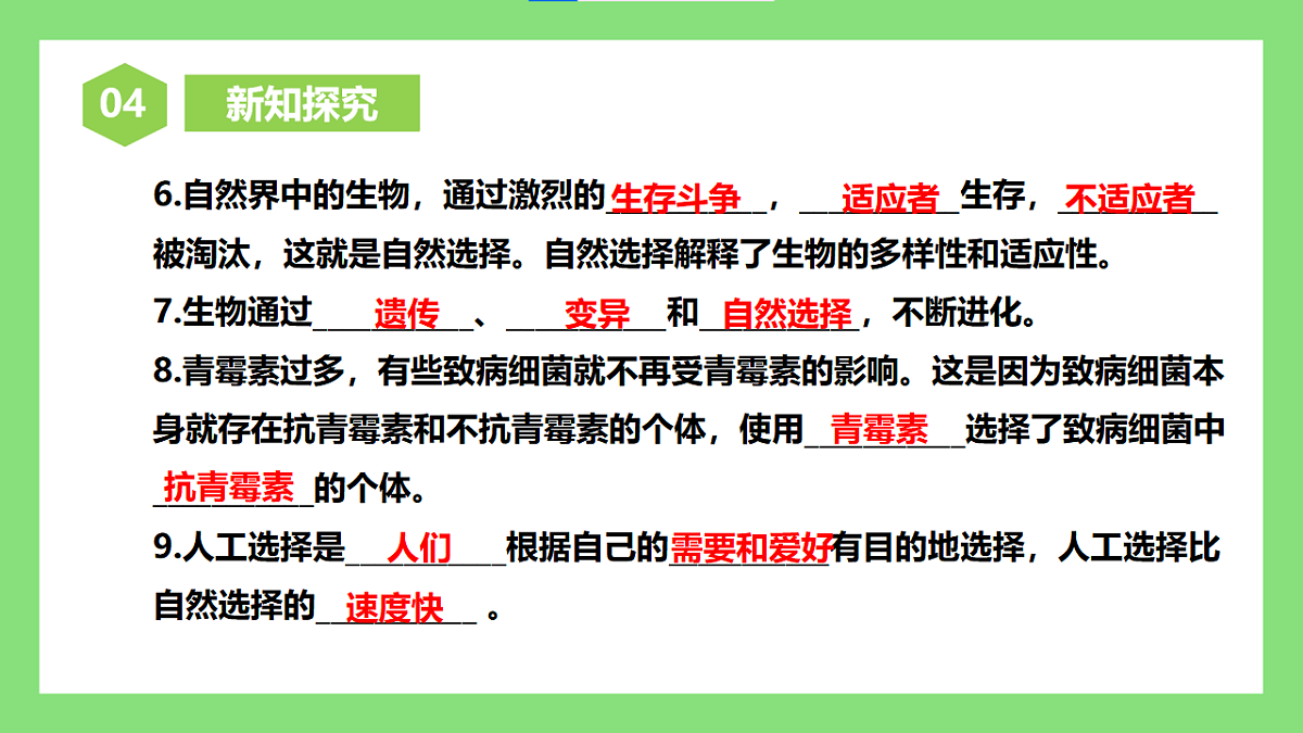 人教版初中生物八年级下册6.3.3《生物进化的原因》课件第5页