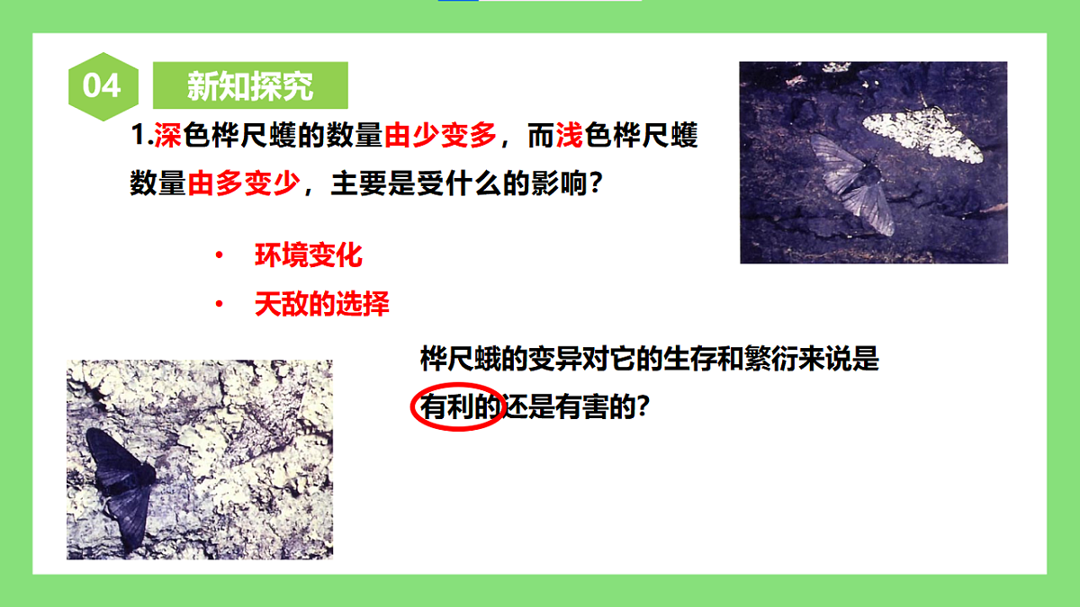 人教版初中生物八年级下册6.3.3《生物进化的原因》课件第8页