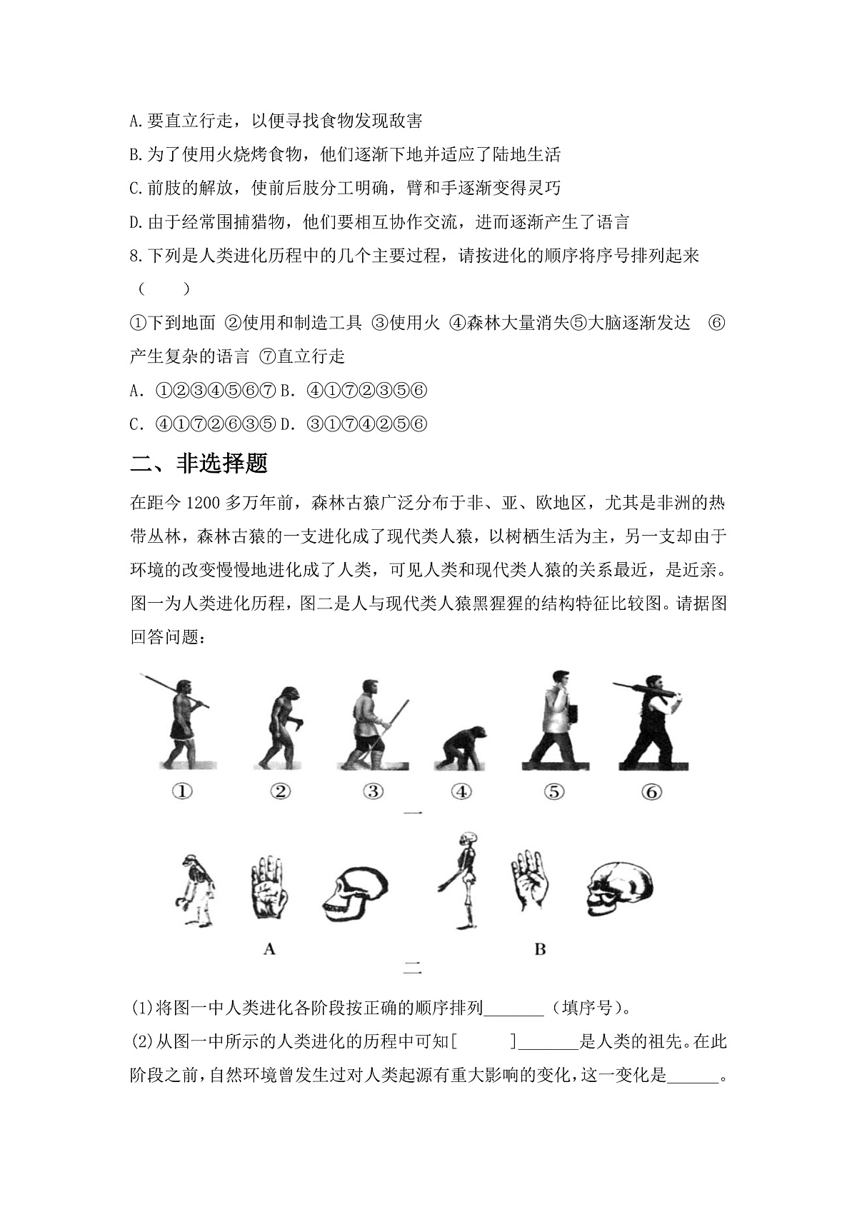 人教版初中生物八年级下册6.3.4《人类的起源》同步分层练习（含答案）第2页