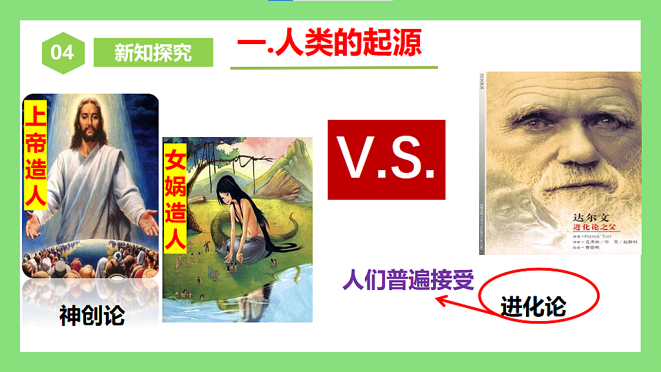 人教版初中生物八年级下册6.3.4《人类的起源》课件第5页