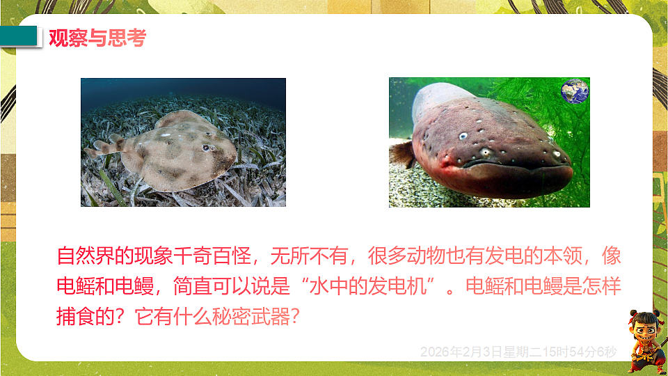 17893850第3页