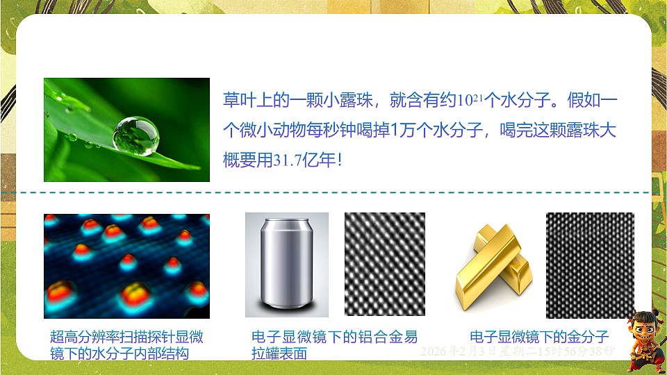 17893856第3页