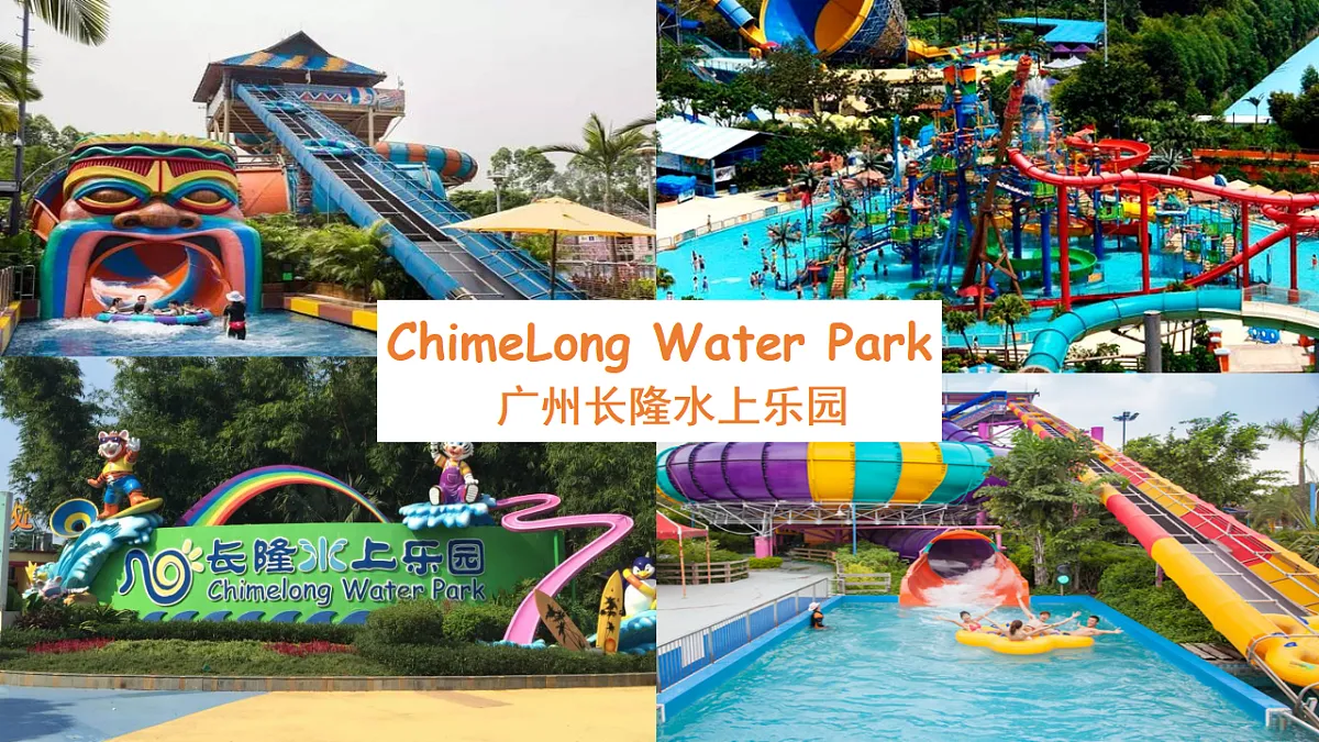 17893883第5页
