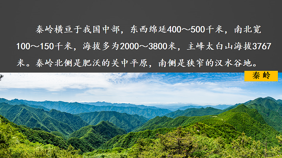 17893917第4页