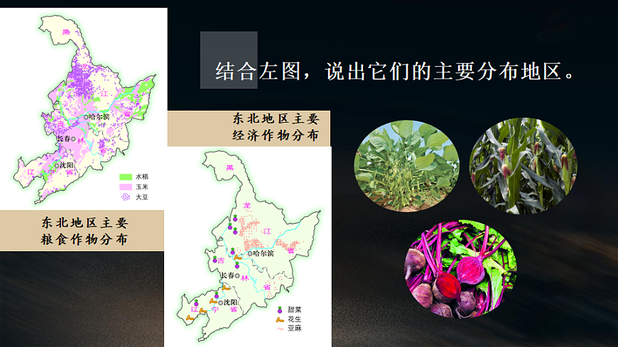 第三节 东北地区的产业布局第8页