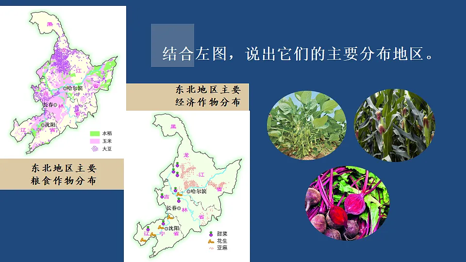 第三节 东北地区的产业布局第8页
