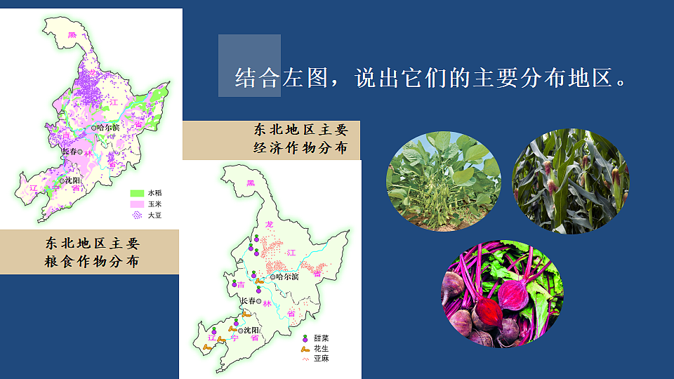 第三节 东北地区的产业布局第8页