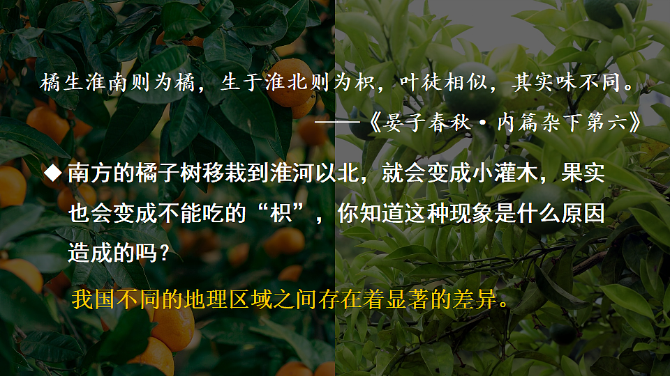 17894031第3页