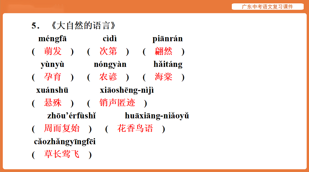 17894072第7页