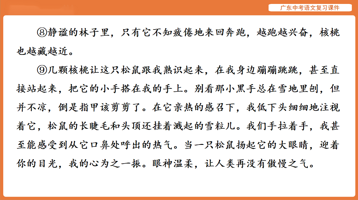 17894078第7页