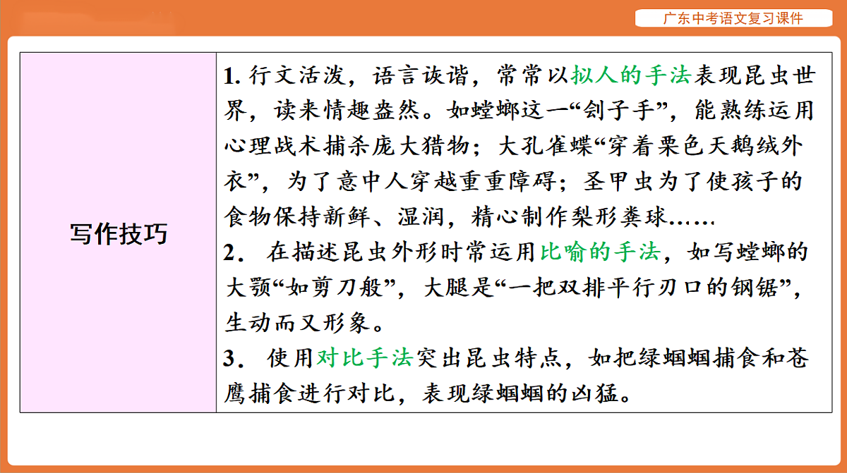 17894085第6页