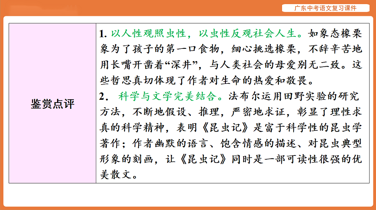 17894085第7页